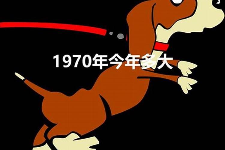 1970年属狗的今年多大岁数