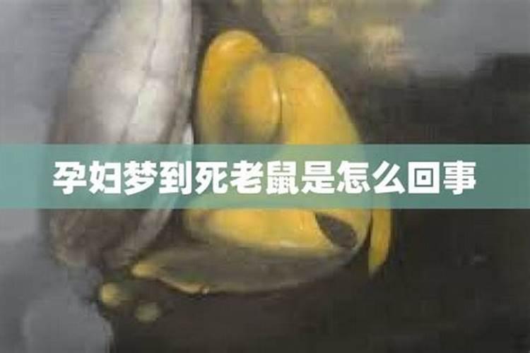 孕妇做梦梦到老鼠是什么意思啊