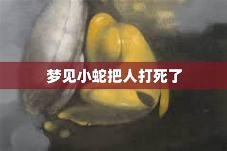 女人梦见小白蛇是什么预兆然后被别人打死了