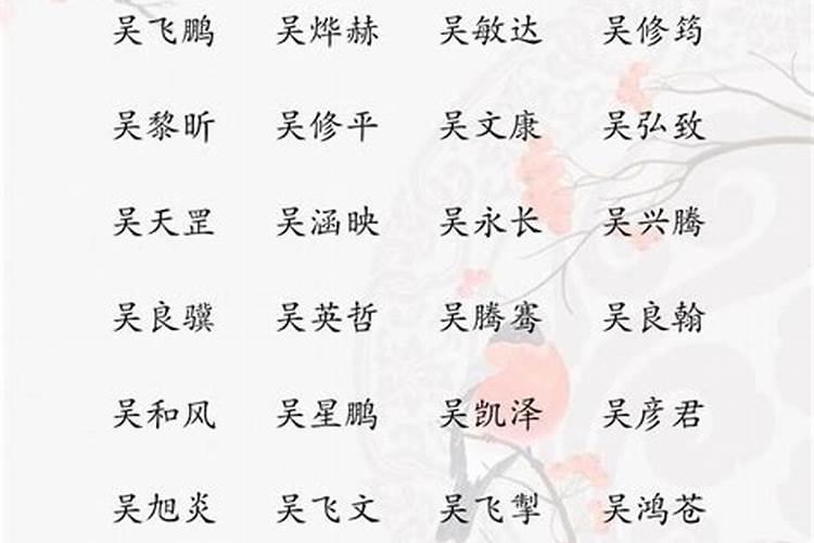 属鸡姓吴的名字