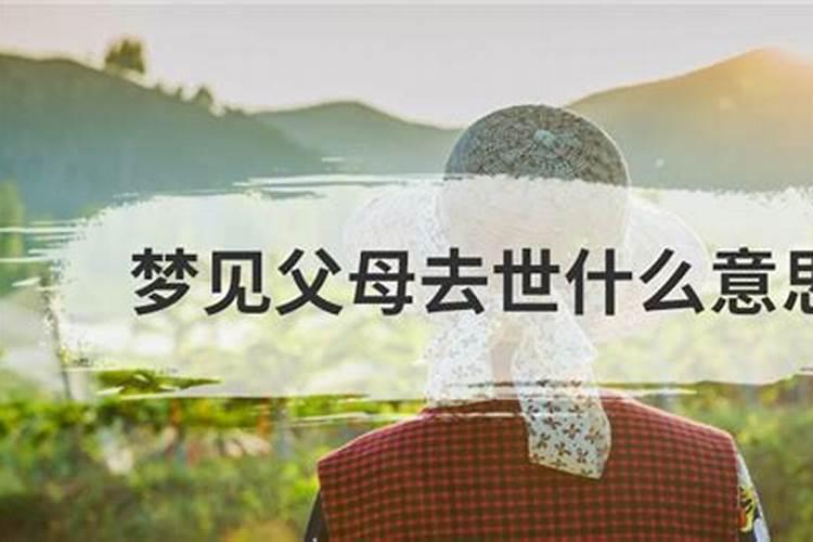 梦见女生喜欢自己的男朋友