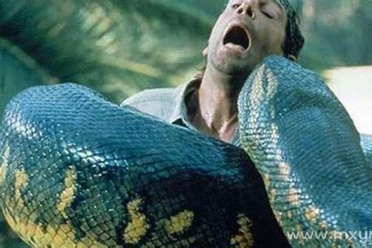 梦见蛇吃人是什么意思