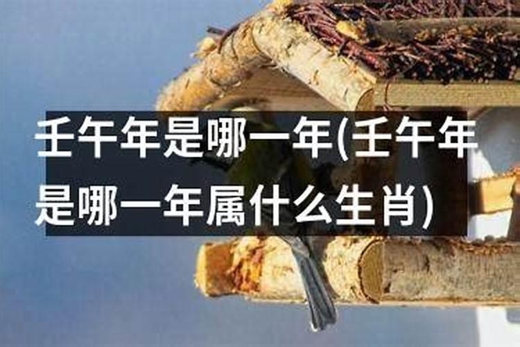 壬午日五行属什么生肖属性