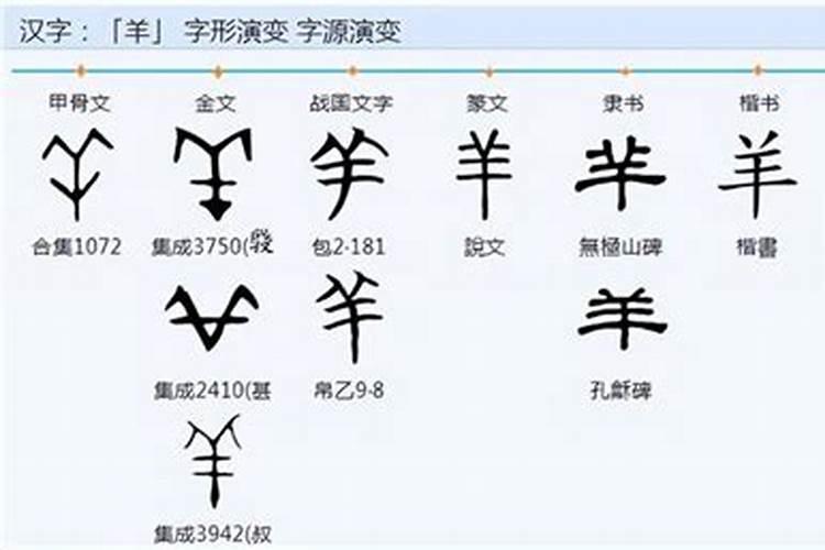 权字五行属什么属性