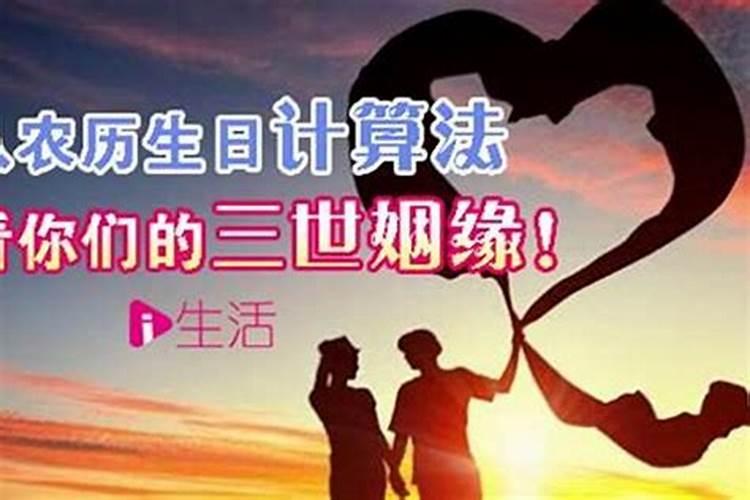 属马犯太岁是什么意思2020年结婚