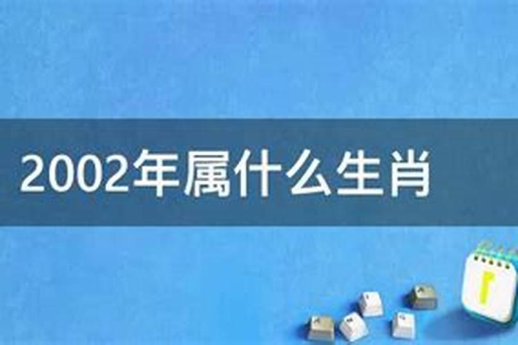 2002年属什么啊