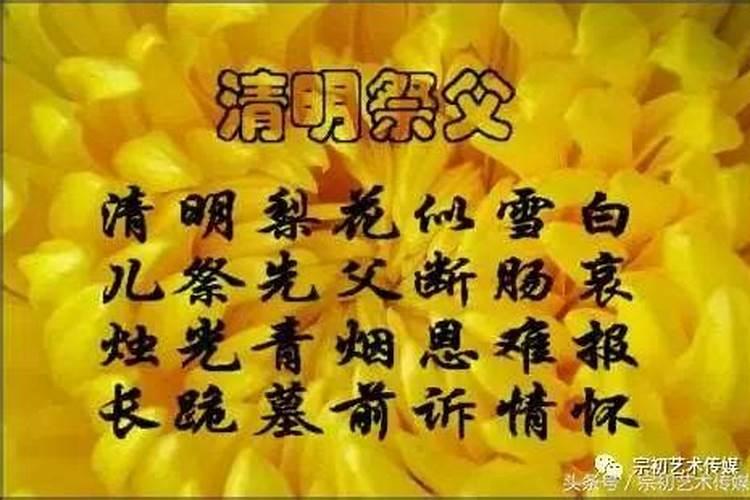 鼠年属鸡的犯太岁是什么意思