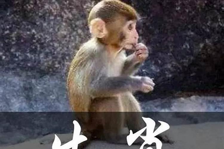 富贵命指什么生肖