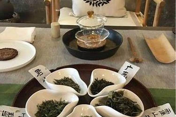 茶叶行业五行属性