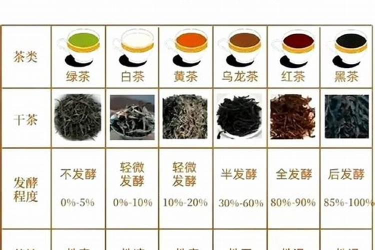 五行茶属于什么茶类