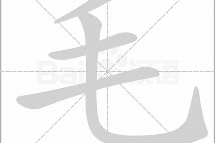 毛字五行属性及含义