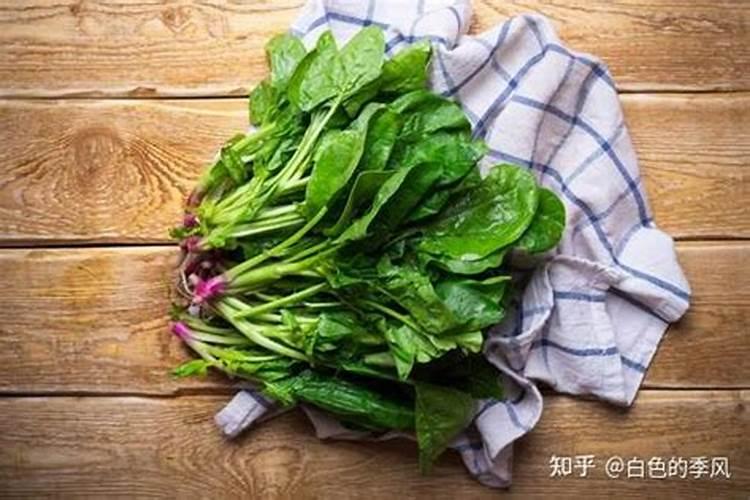 梦见菠菜是怎么回事