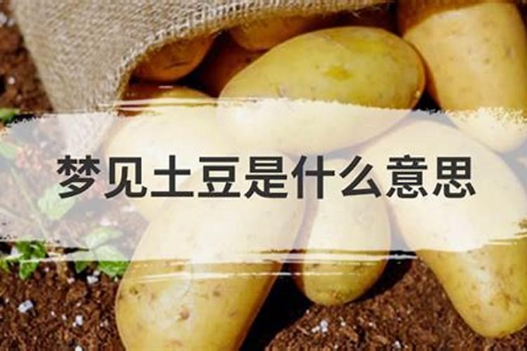 立夏出生名字