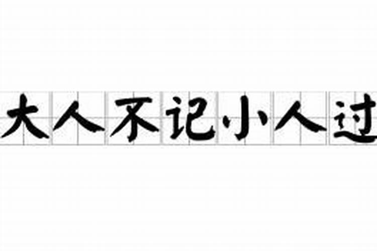 大人不记小人过打个生肖