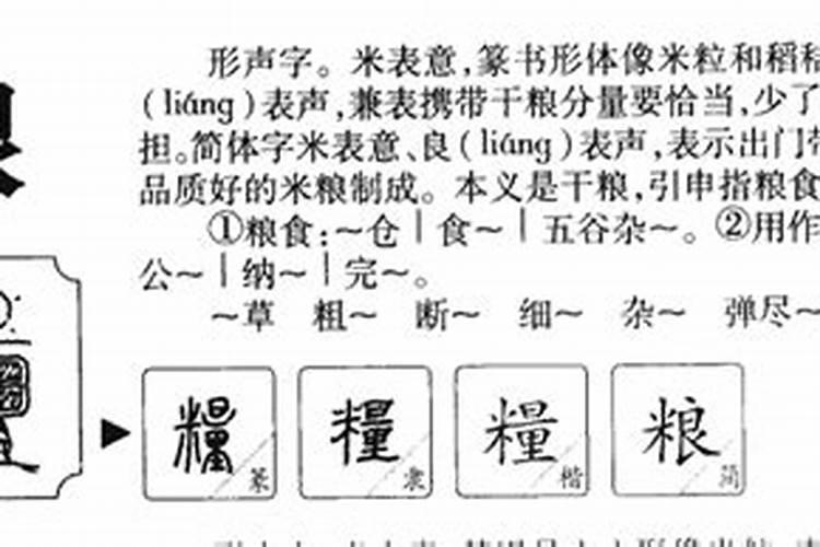 粮字五行属什么意思