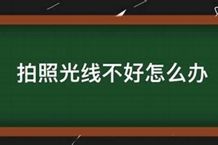 84年鼠是什么命五行属什么木