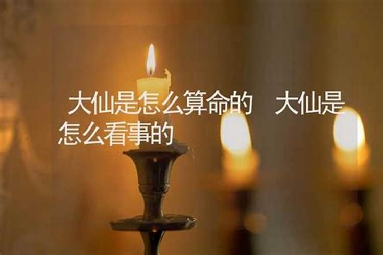 属龙今年运势与什么属相配