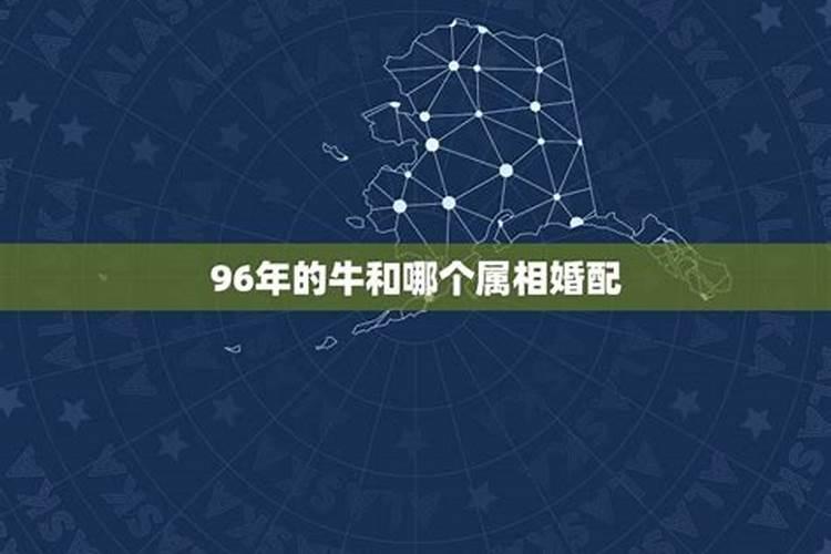 96属鼠和什么属相最合适