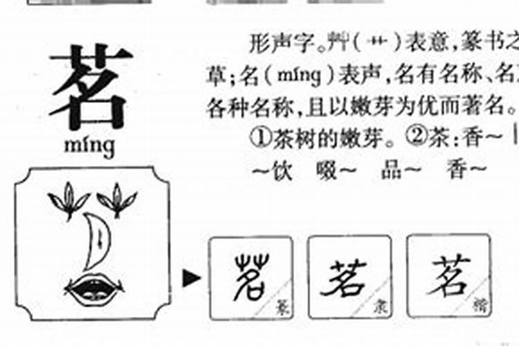 茗字五行属什么和意义取名字