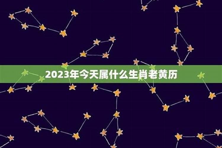 明天属相是什么生肖2023年运势