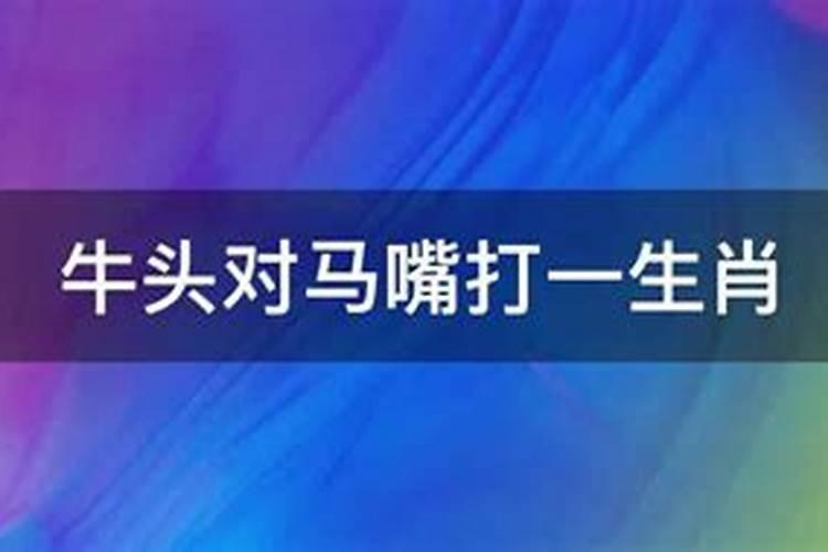 牛头马嘴是什么动物打一生肖