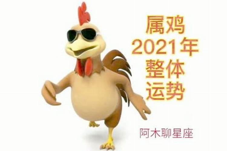 2021年生肖鸡天解