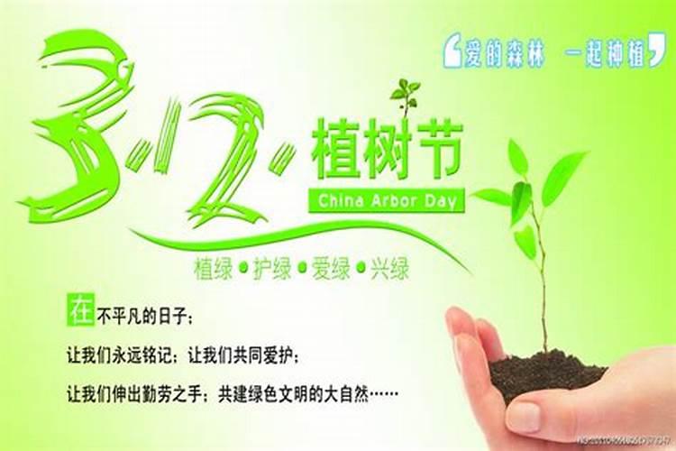 植树节会出什么生肖