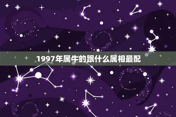 1997年属相是什么生肖配对