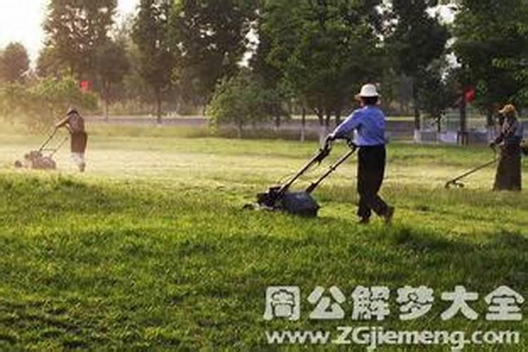 女人梦见割草是什么意思