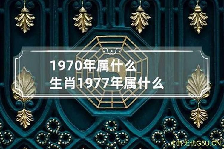 1977的生肖属什么