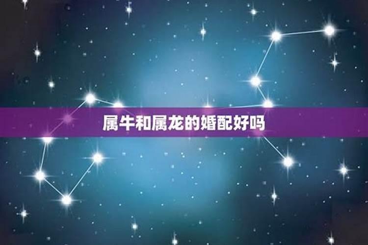 1995年农历腊月15日