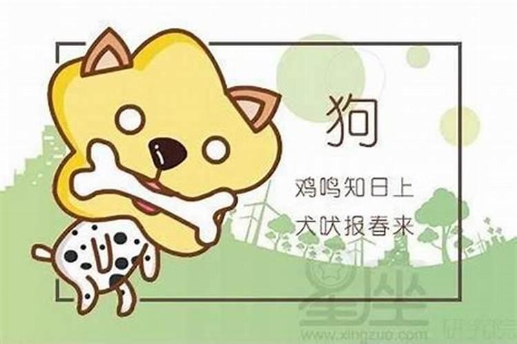 梦见一头猪是什么征兆