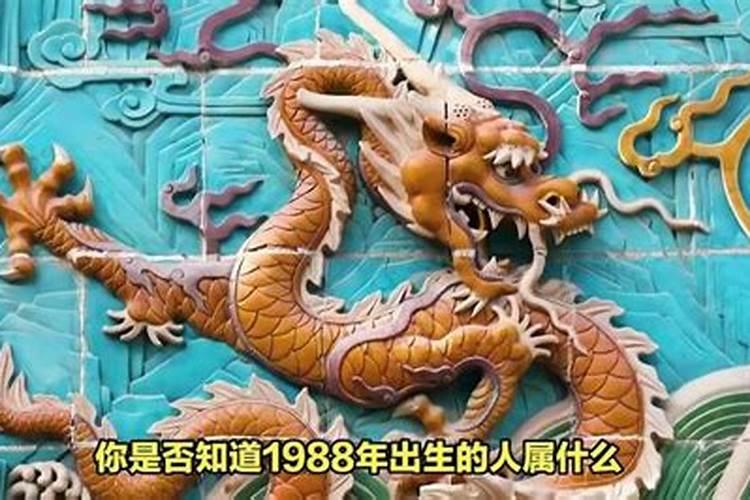 1988年属什么生肖的命1987