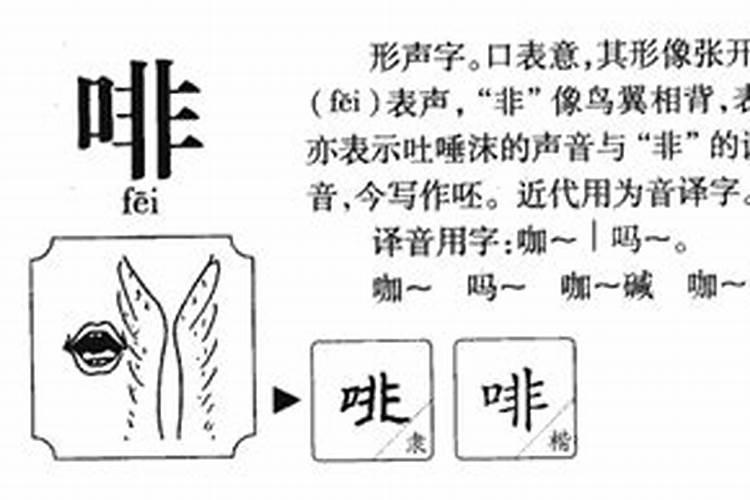 啡的五行属什么